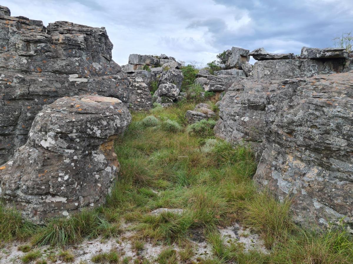 Coddiwomple Cottage Kaapsehoop Kültér fotó